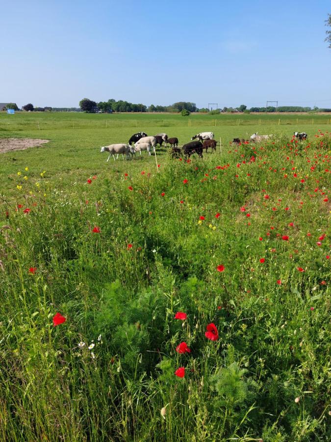 Boerderijkamer 'T Keukentje Wijhe Экстерьер фото